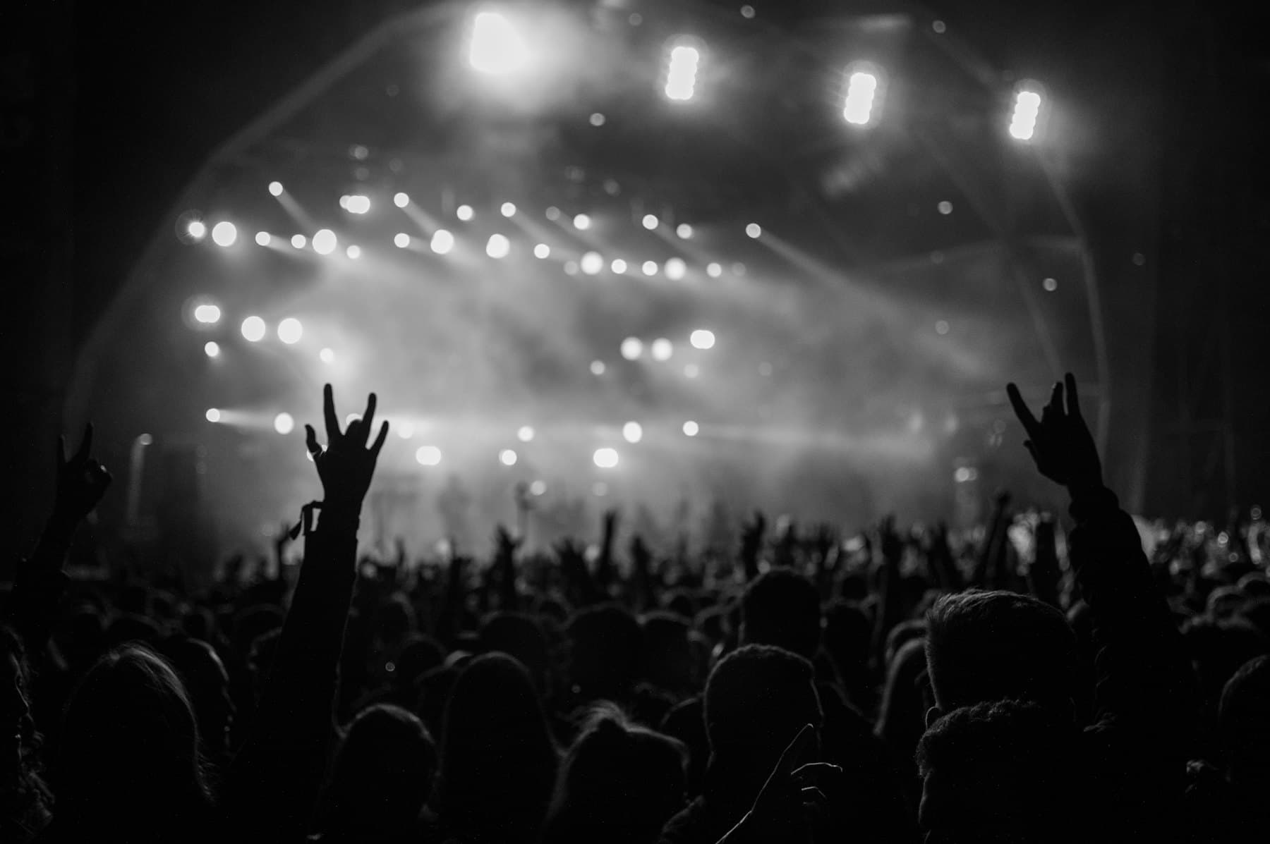 Concerts & Shows
